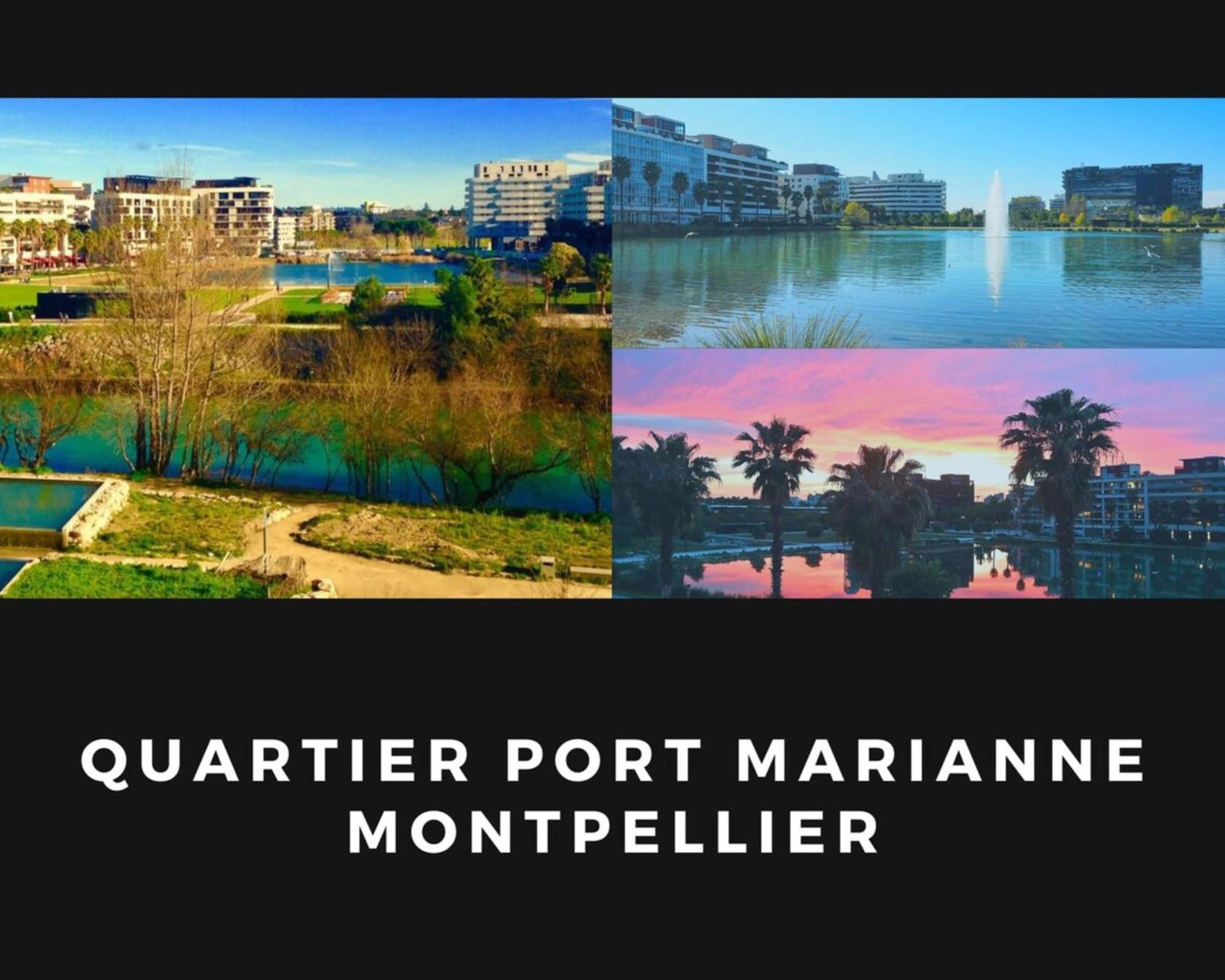 T2 Cubano Montpellier Parking Proche Plages Экстерьер фото